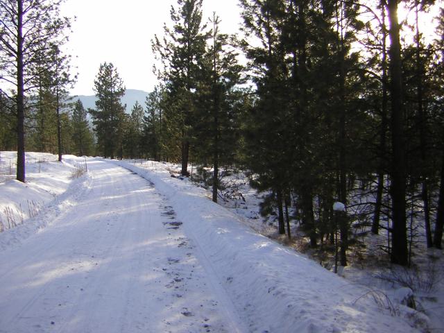DSCN2845.jpg