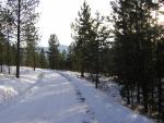 DSCN2846.jpg