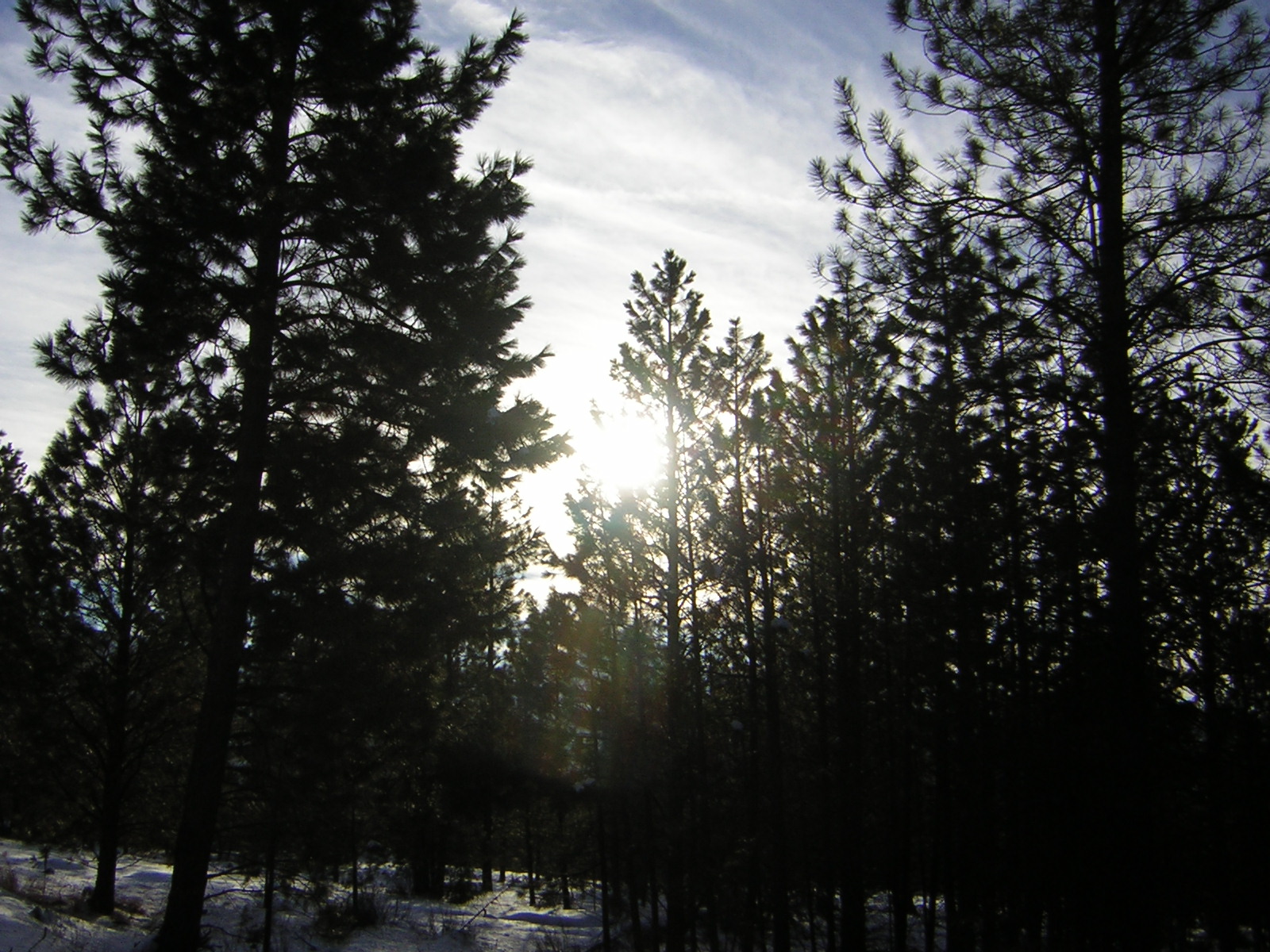 DSCN2847.jpg
