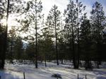 DSCN2848.jpg