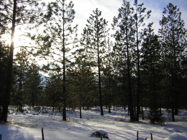 DSCN2848.jpg
