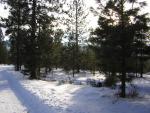 DSCN2849.jpg