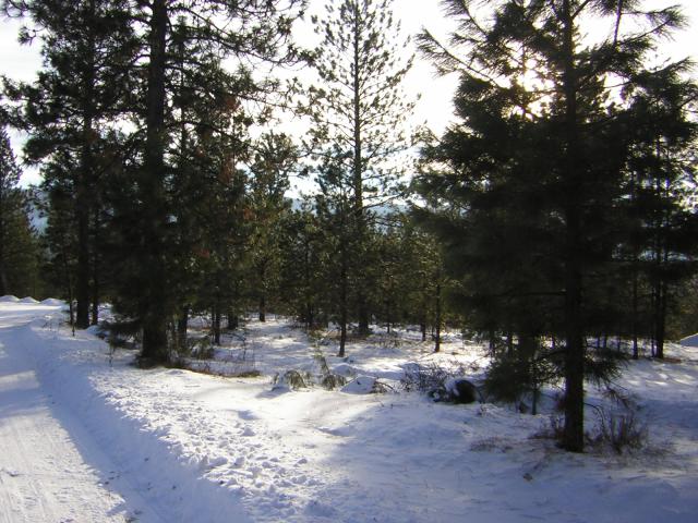 DSCN2849.jpg