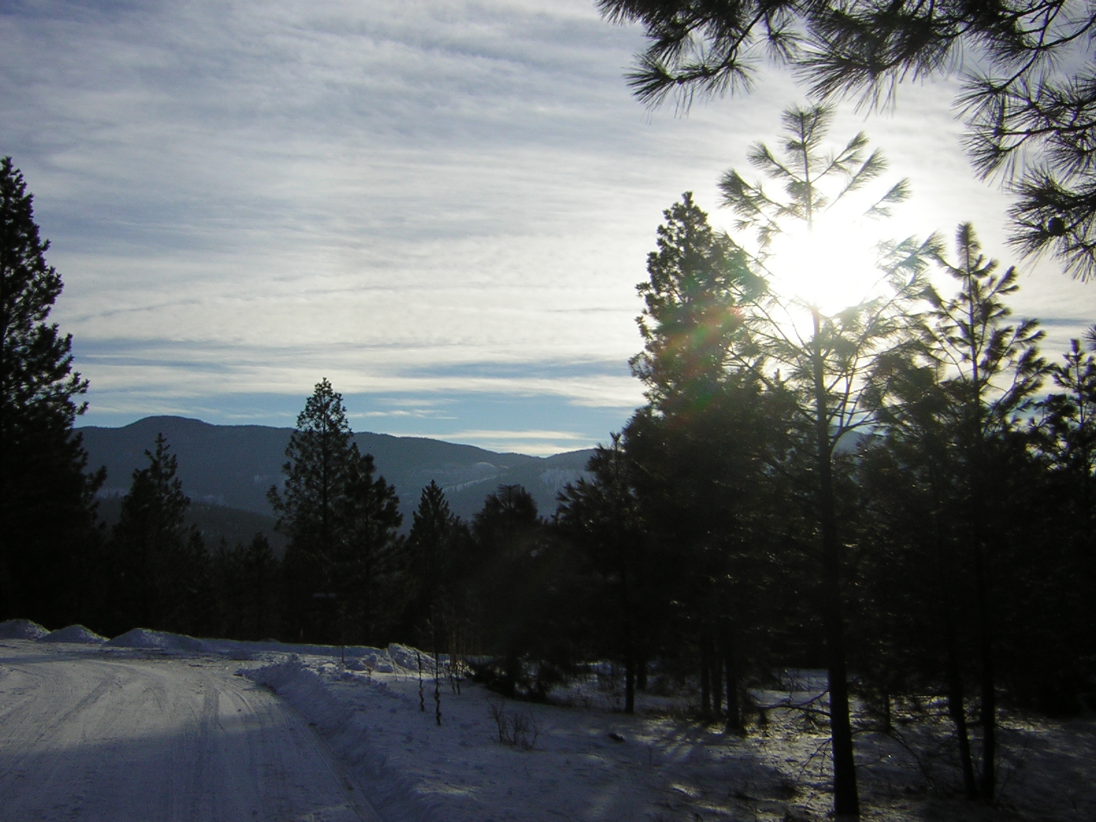 DSCN2850.jpg