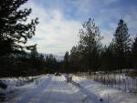 DSCN2851.jpg
