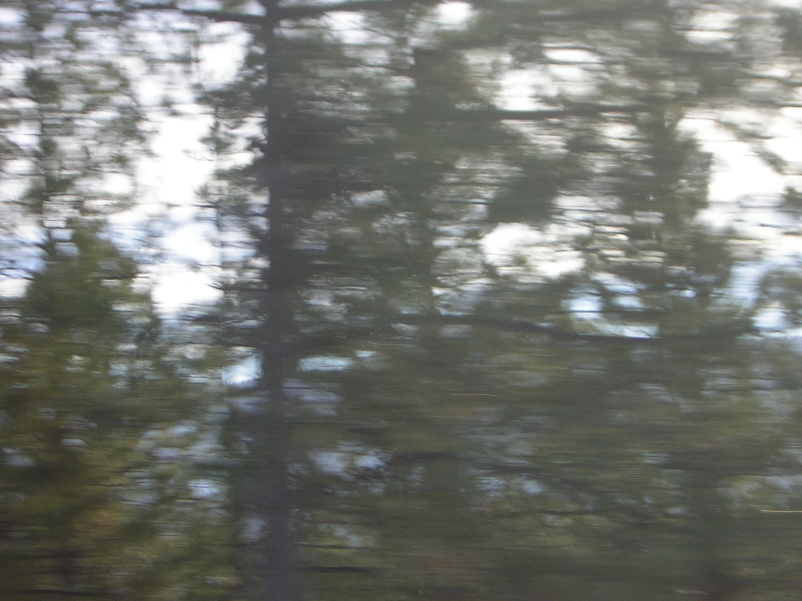 DSCN2853.jpg