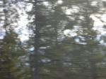 DSCN2853.jpg