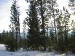 DSCN2854.jpg