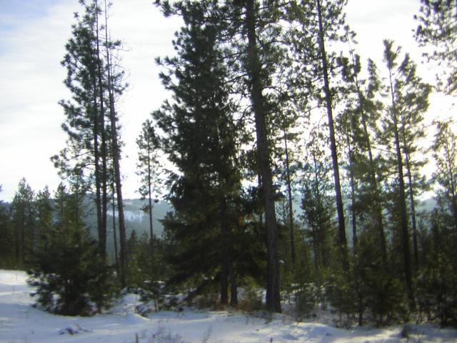 DSCN2854.jpg