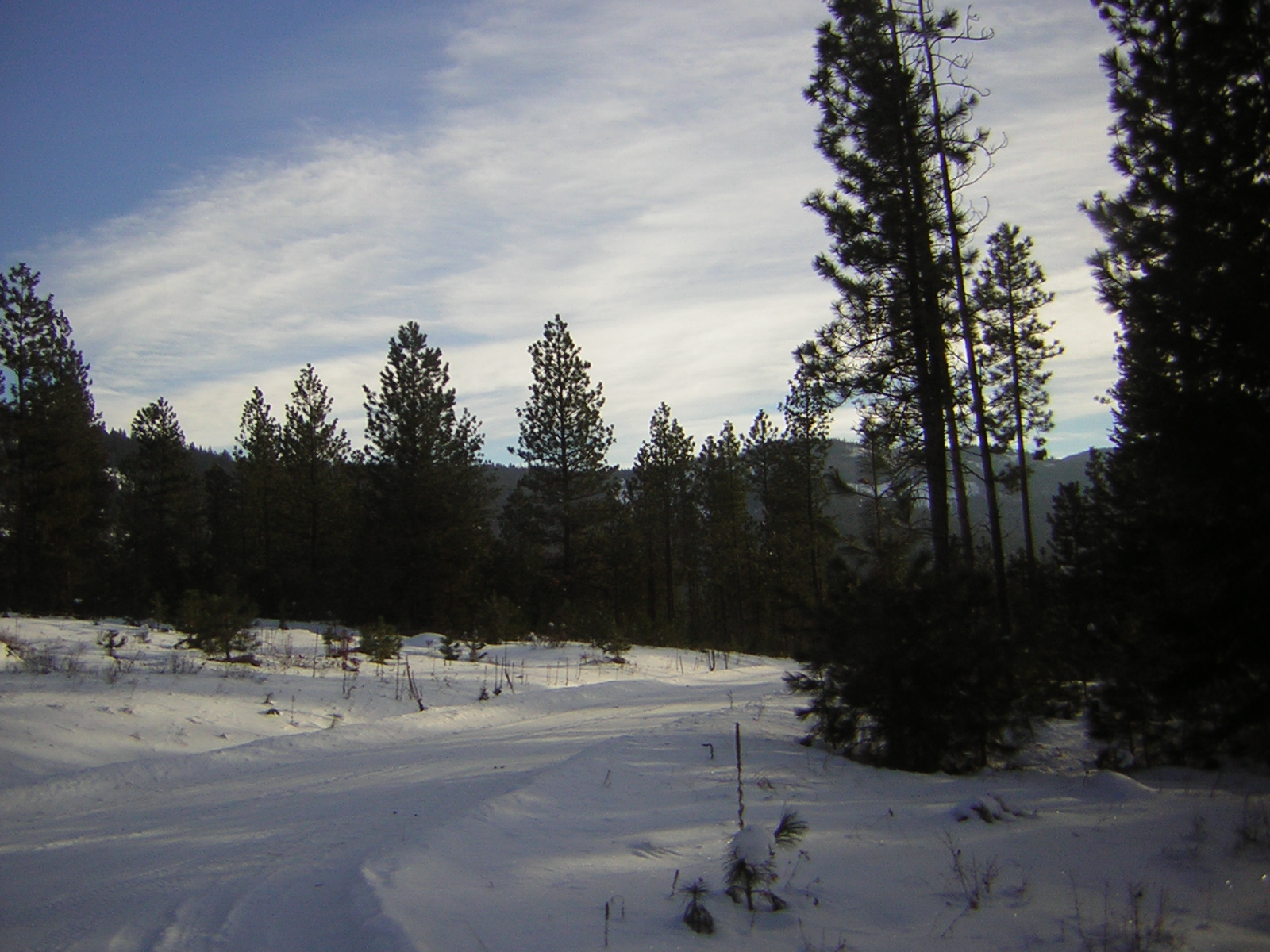 DSCN2855.jpg