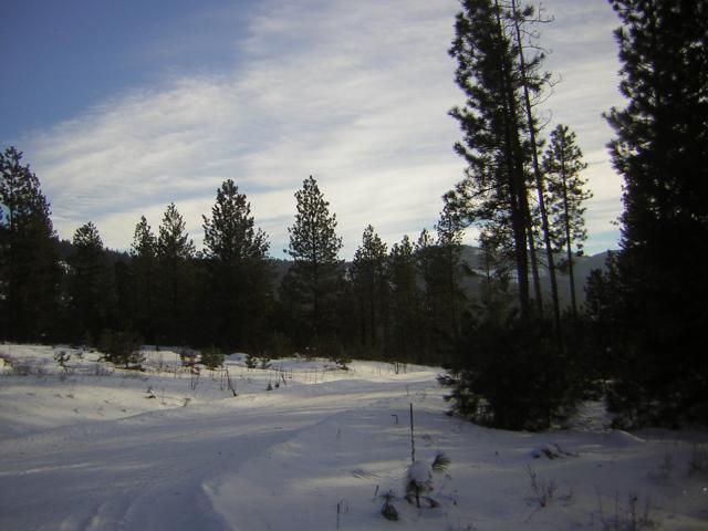 DSCN2855.jpg