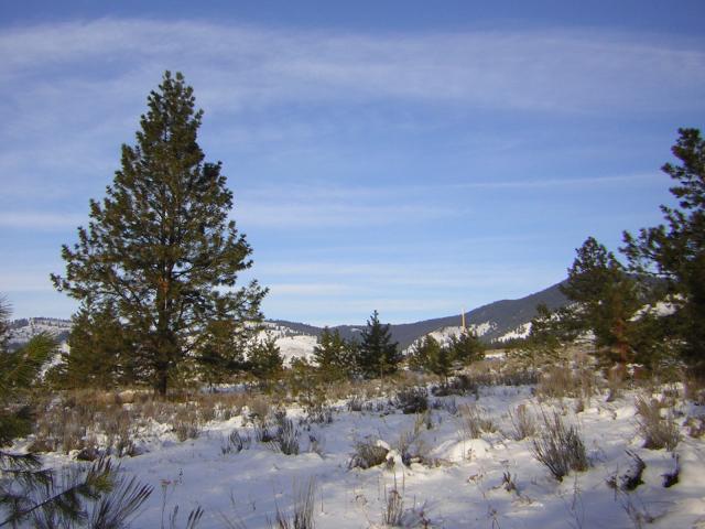 DSCN2856.jpg