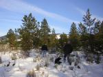 DSCN2857.jpg