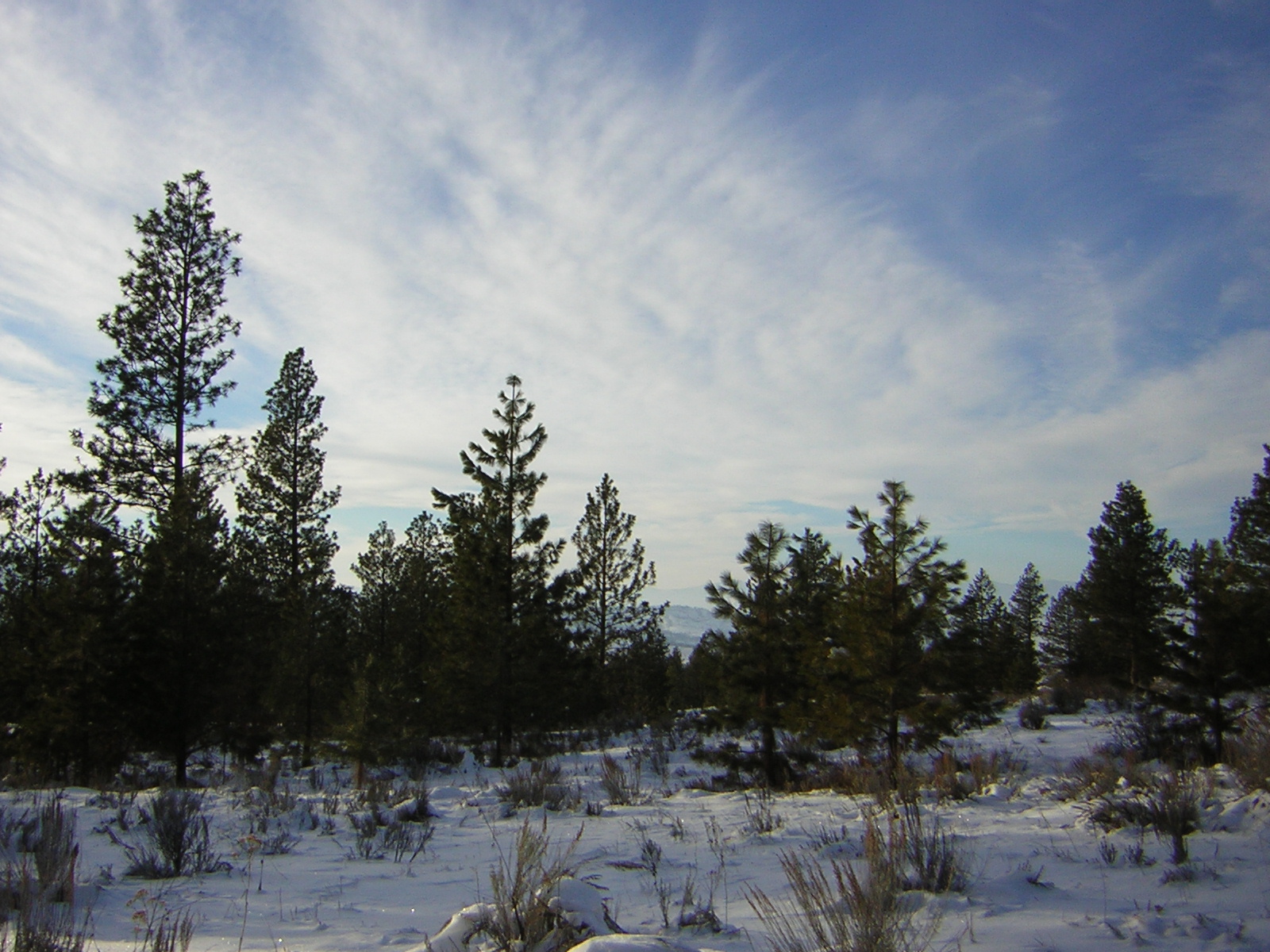 DSCN2858.jpg