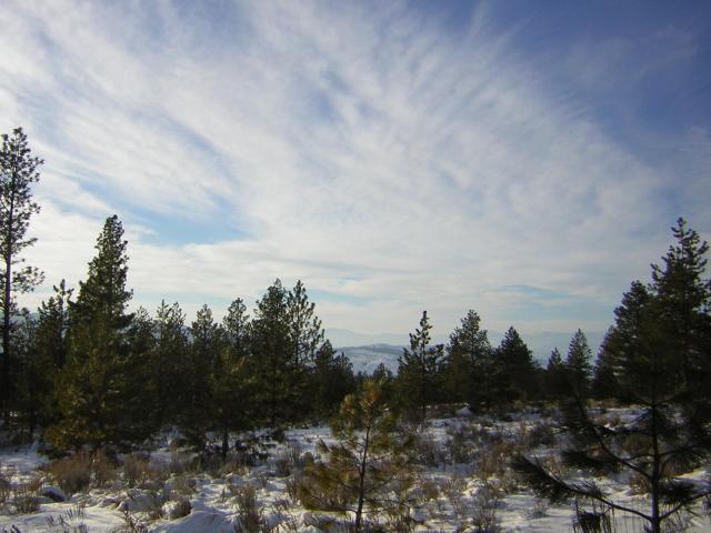DSCN2859.jpg