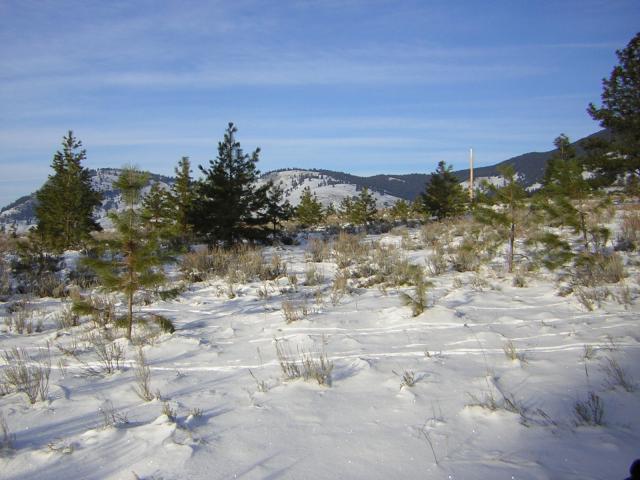 DSCN2860.jpg