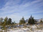 DSCN2861.jpg