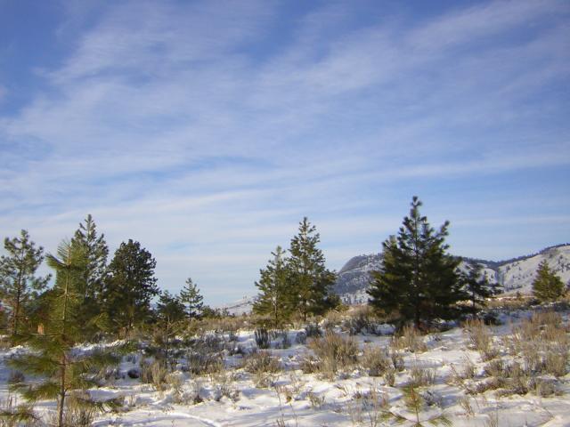DSCN2861.jpg