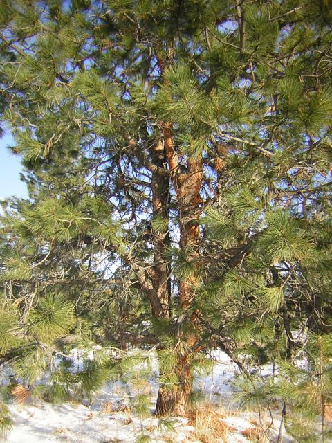 DSCN2862.jpg