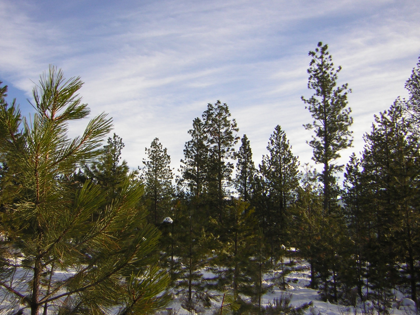 DSCN2863.jpg