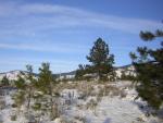 DSCN2864.jpg