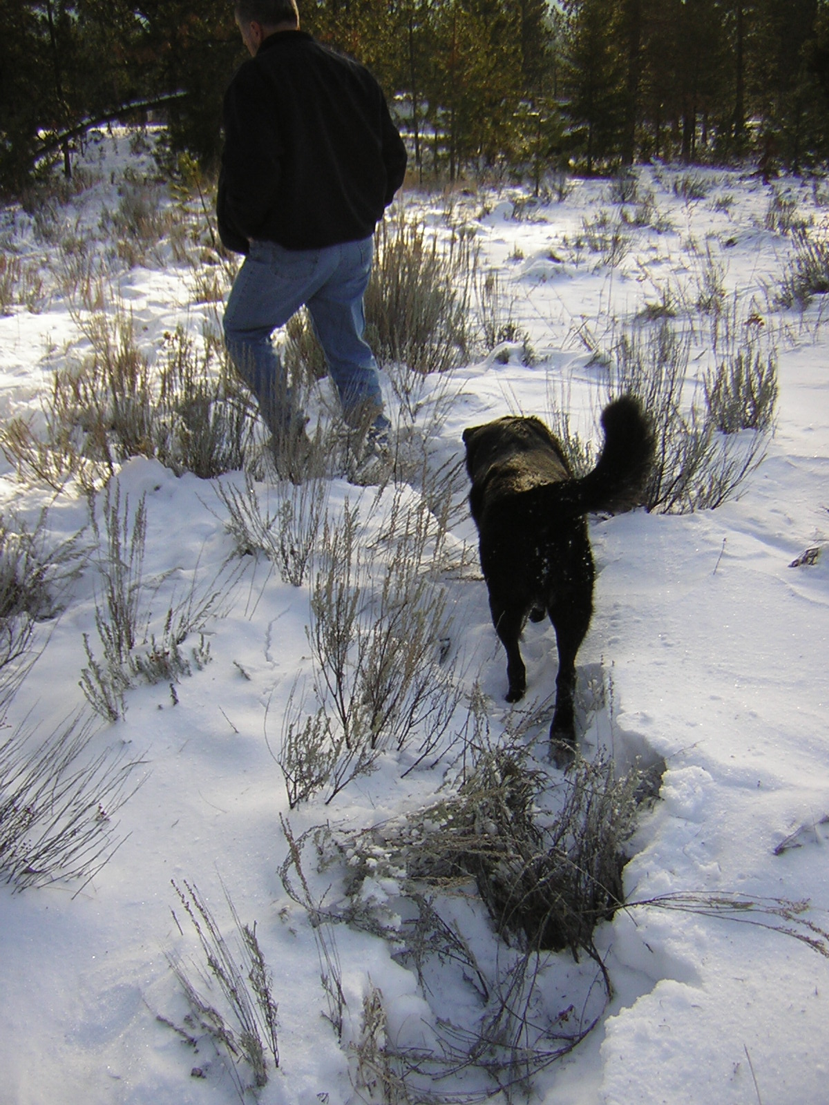 DSCN2865.jpg