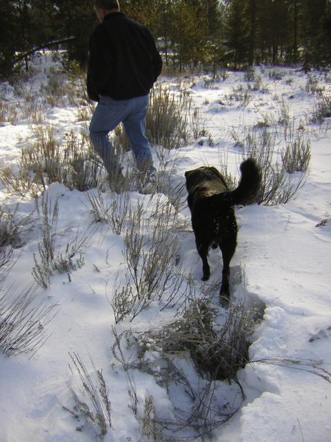 DSCN2865.jpg