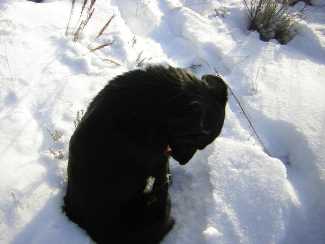 DSCN2866.jpg