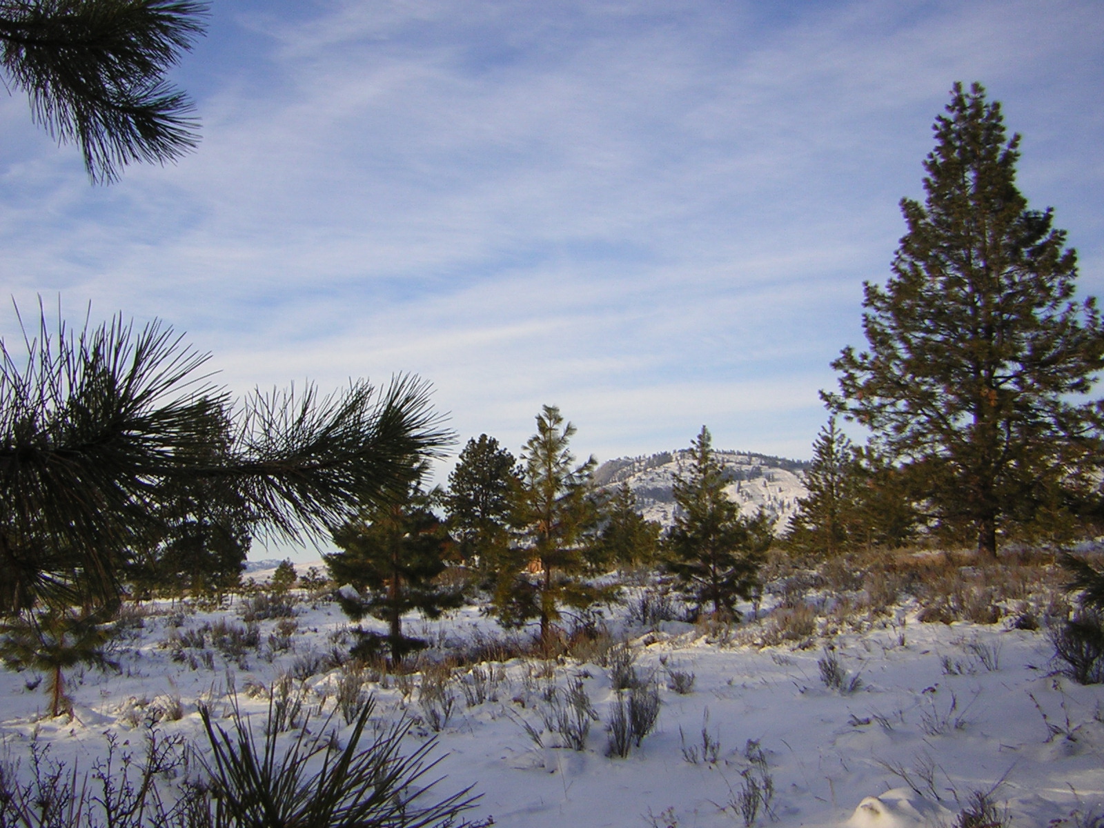 DSCN2867.jpg