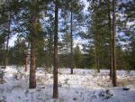DSCN2868.jpg