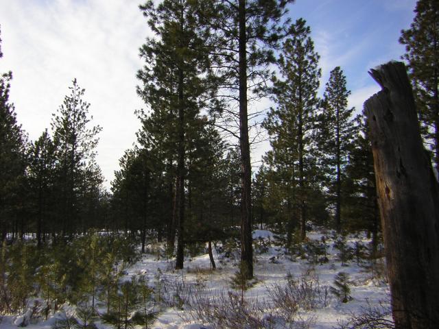DSCN2869.jpg