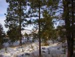 DSCN2870.jpg