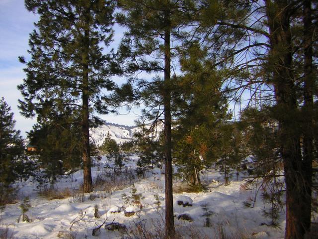 DSCN2870.jpg
