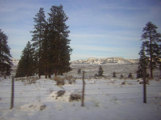 DSCN2871.jpg
