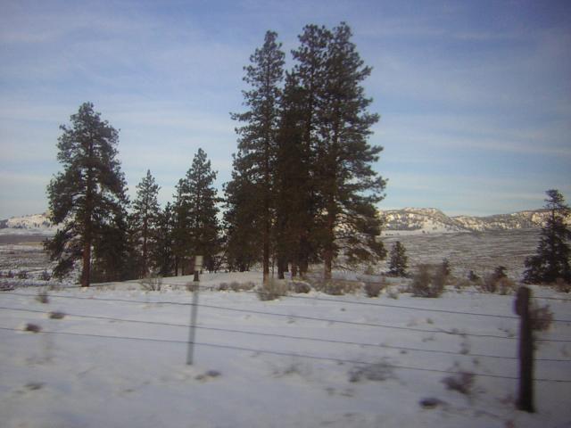 DSCN2872.jpg