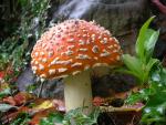 DSCN3843.jpg