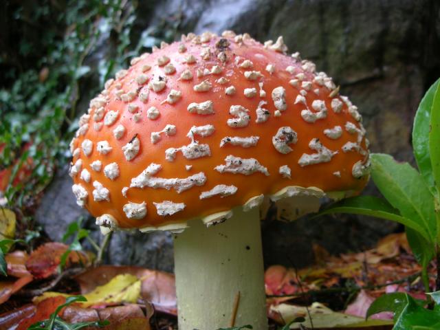 DSCN3844.jpg