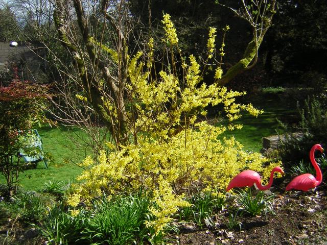 DSCN1240.jpg