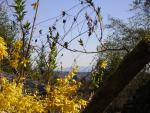 DSCN1391.jpg