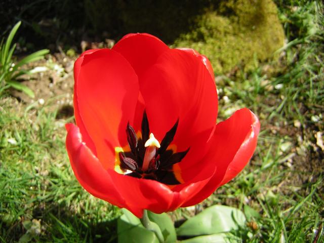 DSCN1438.jpg