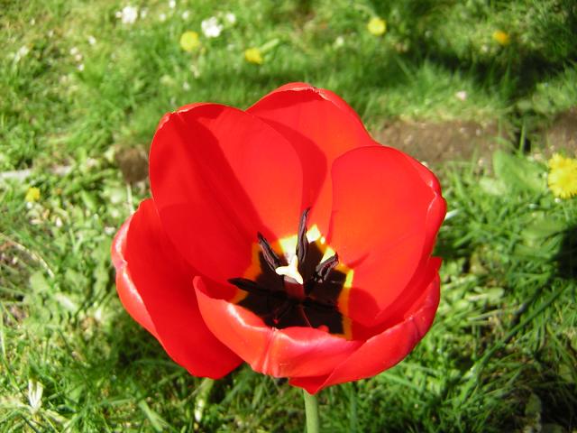 DSCN1439.jpg