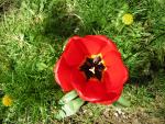 DSCN1440.jpg