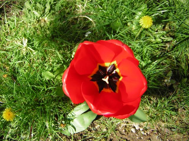 DSCN1440.jpg