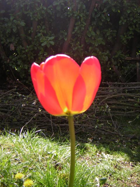 DSCN1441.jpg