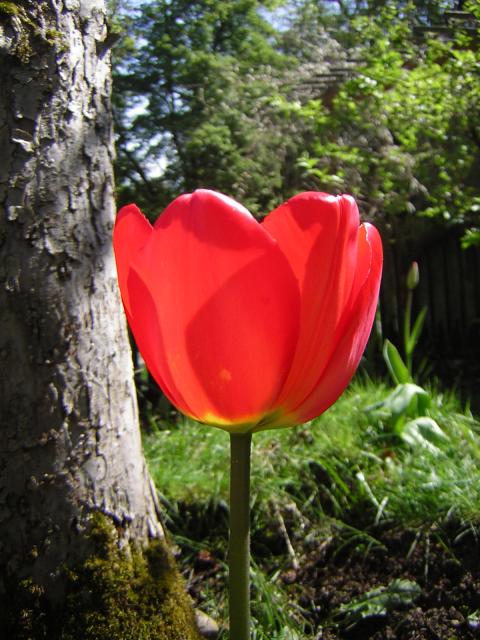 DSCN1442.jpg
