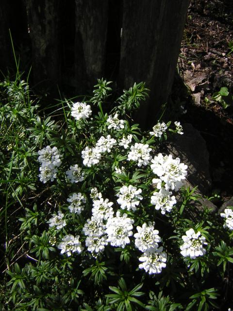 DSCN1443.jpg