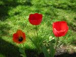 DSCN1472.jpg