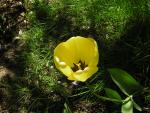 DSCN1473.jpg