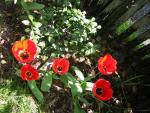 DSCN1475.jpg