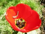 DSCN1476.jpg